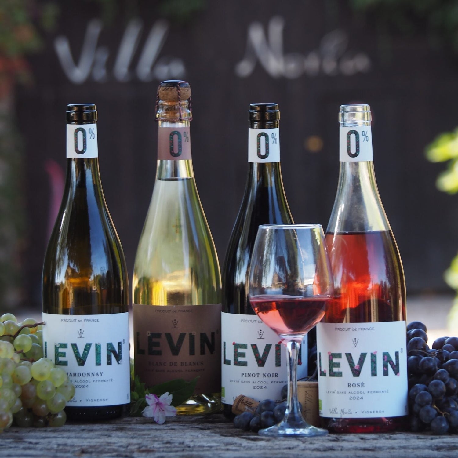 Levin