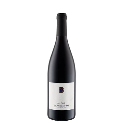 St Nicolas de Bourgueil AOP Red - Domaine Bruneau 2023