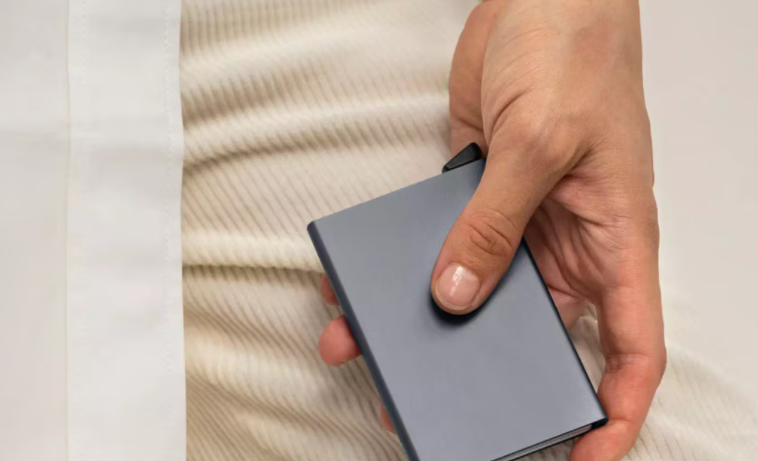 SECRID CARDPROTECTOR  TITANIUM